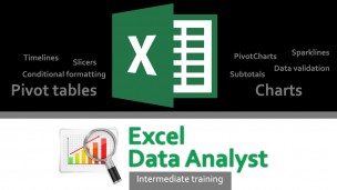 Excel 2013 Data Analyst Intermediate Training
